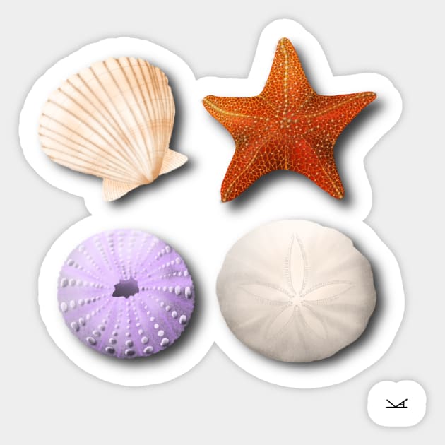 Scallop, Starfish, Sea Urchin, Sand Dollar Sticker by FernheartDesign